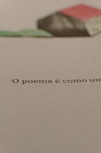 "O poema é como uma casa"