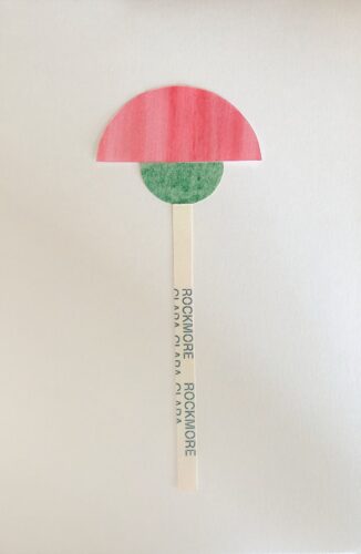 "O cravo é resistente"